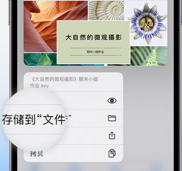 观山湖apple维修中心分享iPhone文件应用中存储和找到下载文件