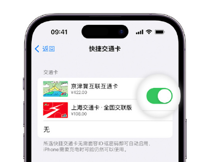 观山湖apple维修点分享iPhone上更换Apple Pay快捷交通卡手绘卡面 