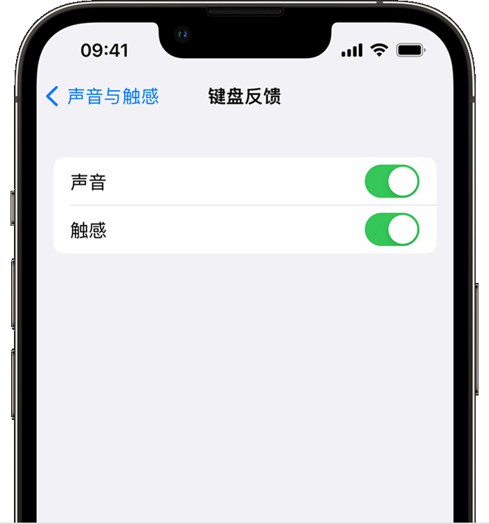 观山湖苹果14维修店分享如何在 iPhone 14 机型中使用触感键盘 