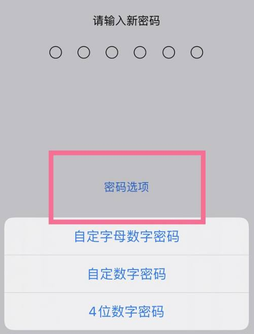 观山湖苹果14维修分享iPhone 14plus设置密码的方法 