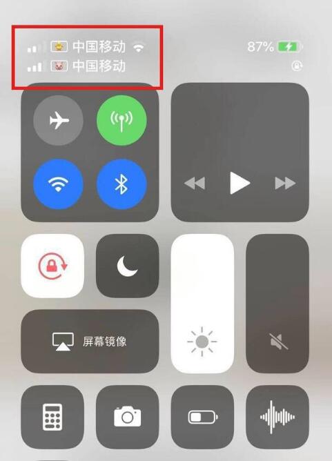 观山湖苹果手机维修分享为 iPhone 12 双卡设置标签 