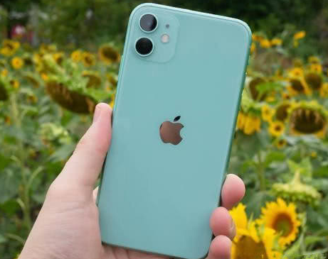 观山湖苹果维修点分享iPhone 11锁屏密码认知与使用科普 